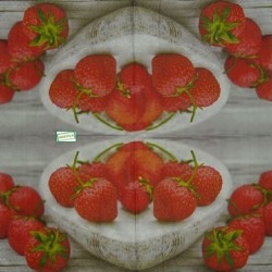 1serviette papier Fraises -1