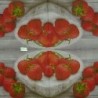 1serviette papier Fraises -1