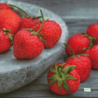 1serviette papier Fraises -1