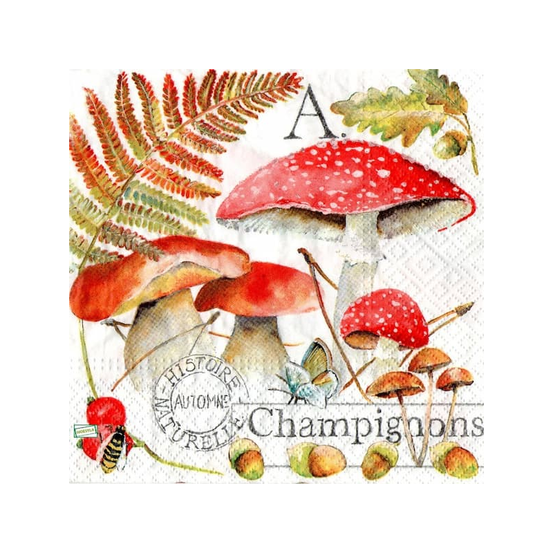 1serviette Les Champignons-3