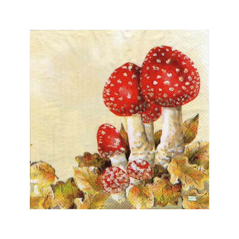 1serviette Les Champignons-4