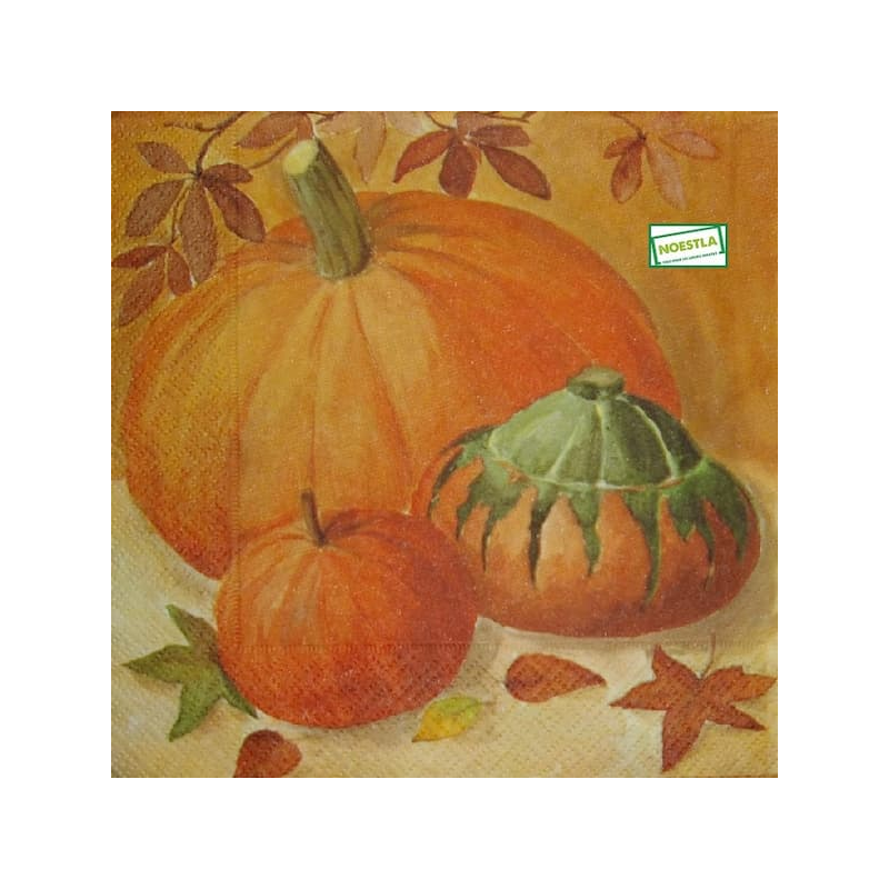 1serviette Les Potimarrons-11