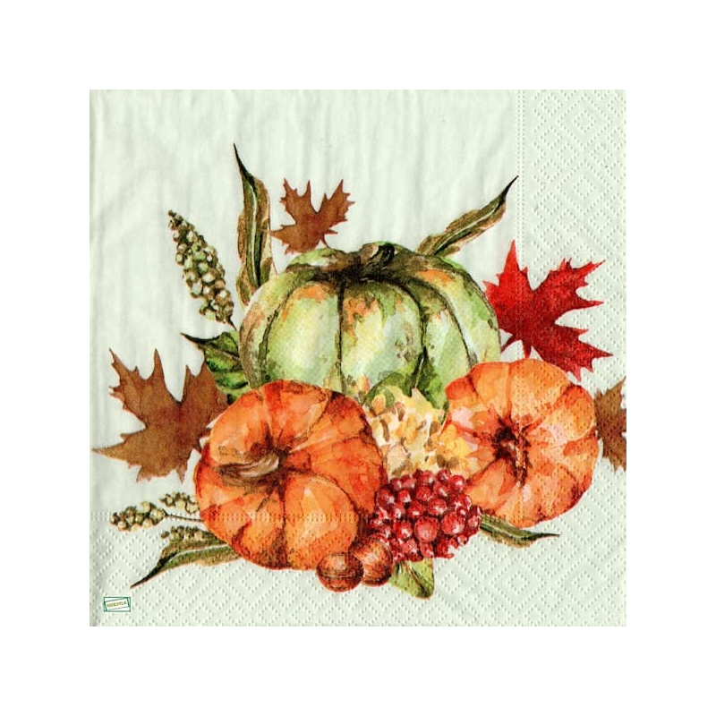 1serviette Les Potimarrons-13