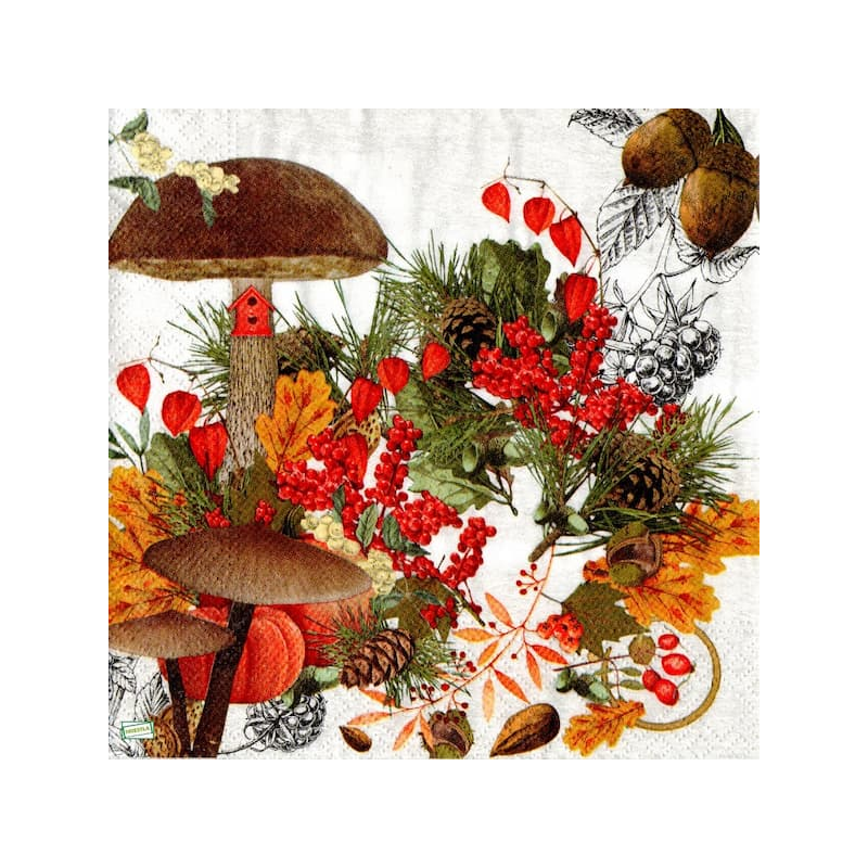 1serviette Les Légumes-14