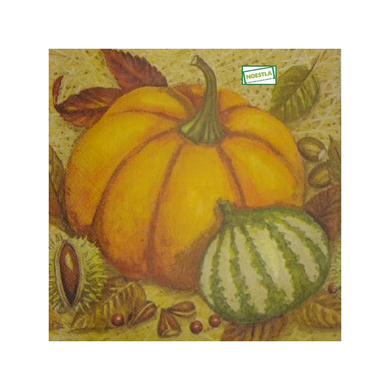 1serviette Les Potimarrons-18