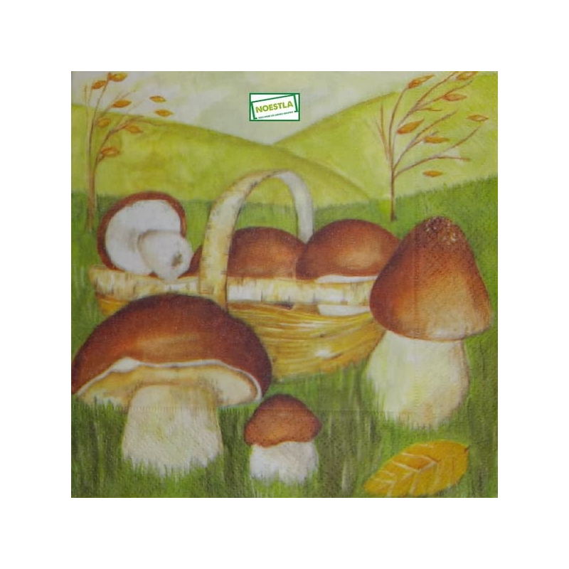 1serviette Les Champignons-19