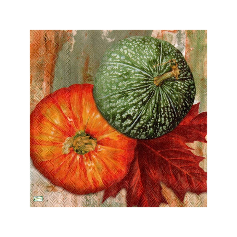 1serviette Les Potimarrons-23