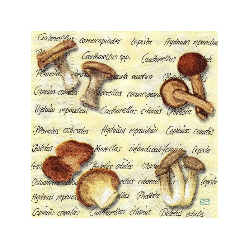 2serviettes Les Champignons-24