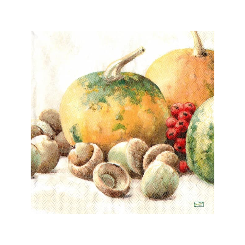 1serviette Les Potimarrons-25