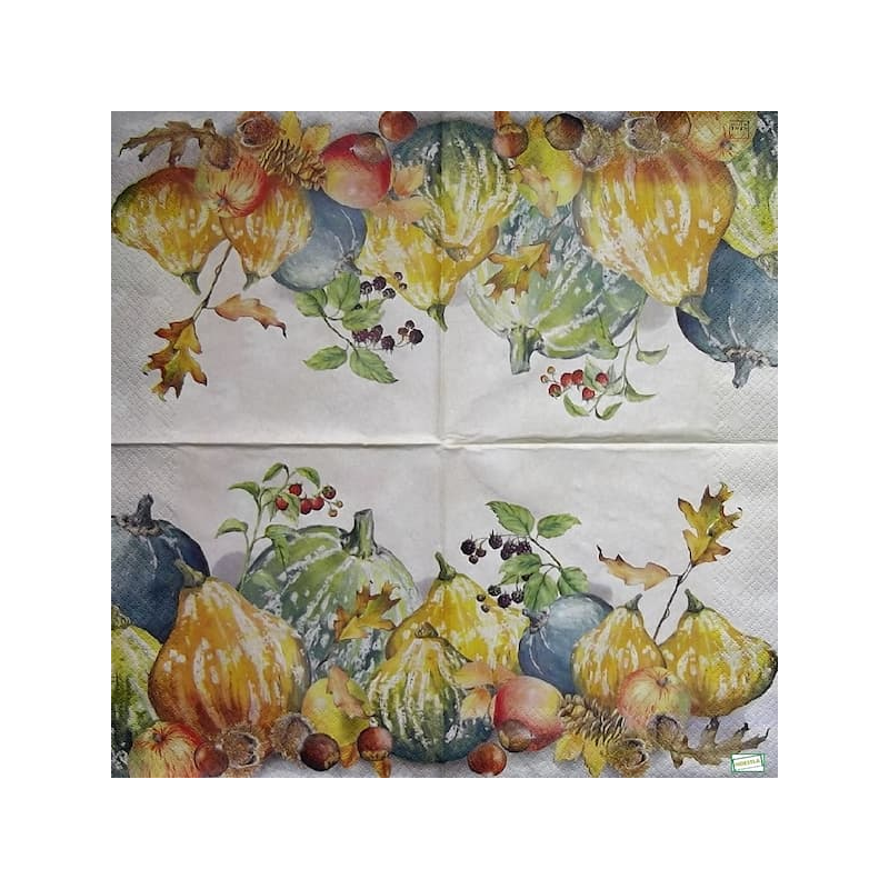 1serviette Les Potimarrons-26