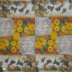 1serviette Les Légumes-27