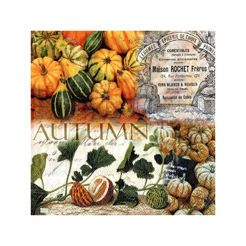 1serviette Les Légumes-27