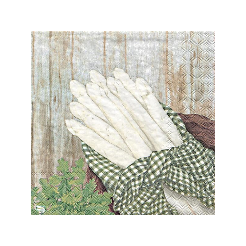 1serviette Les Asperges-28