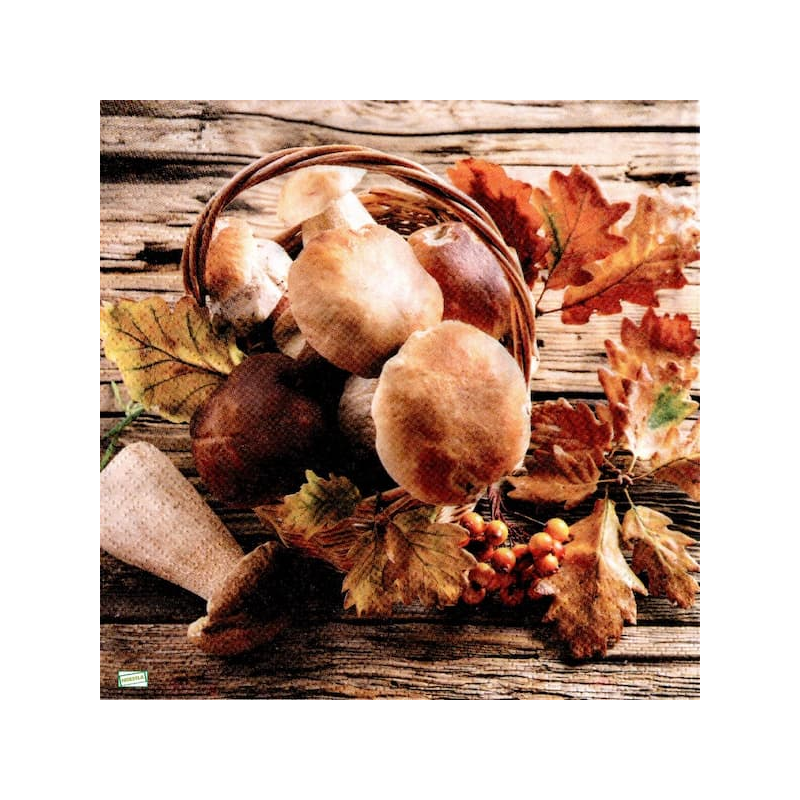 1serviette Les Champignons-29