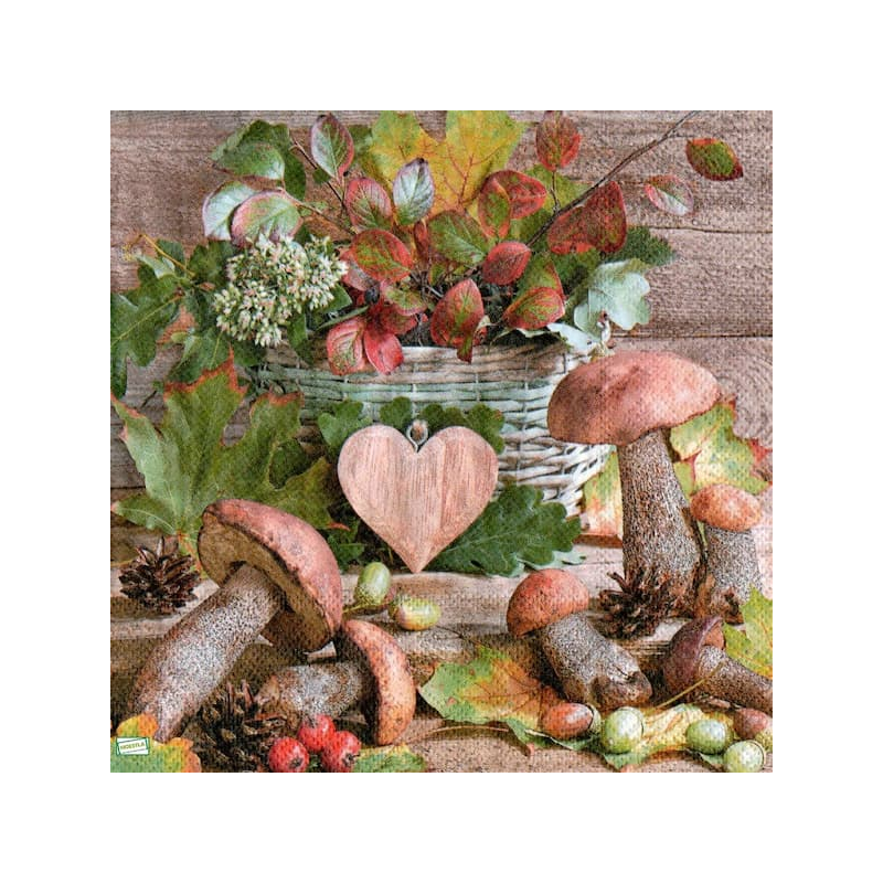 1serviette Les Champignons-34