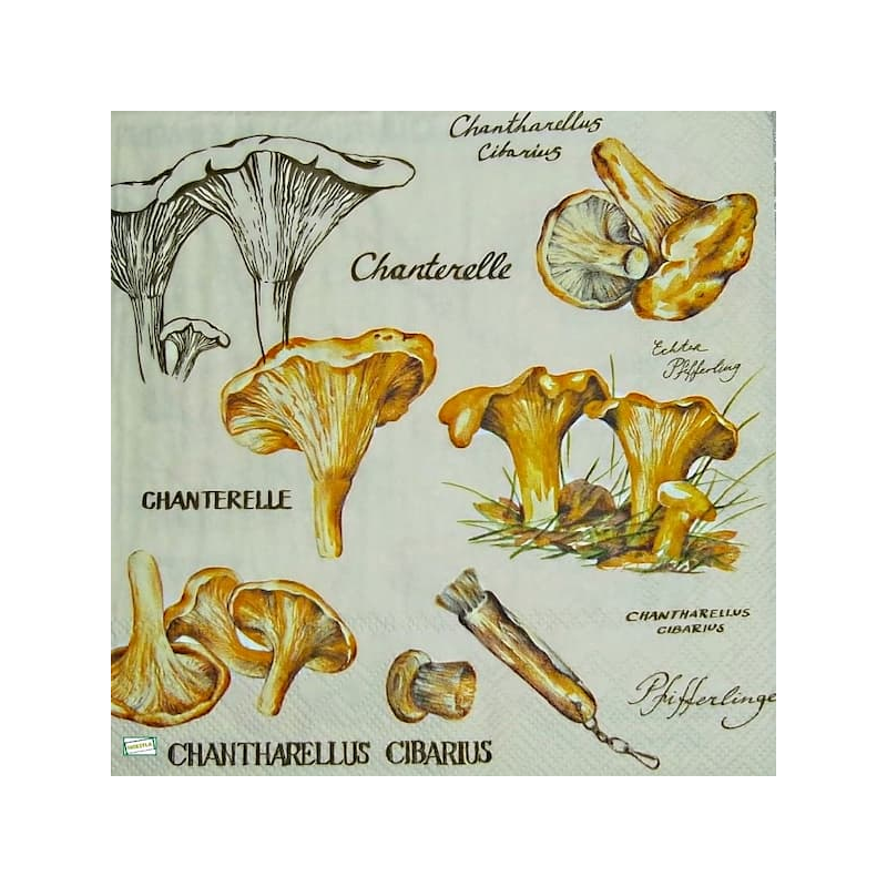 1serviette Les Girolles-38