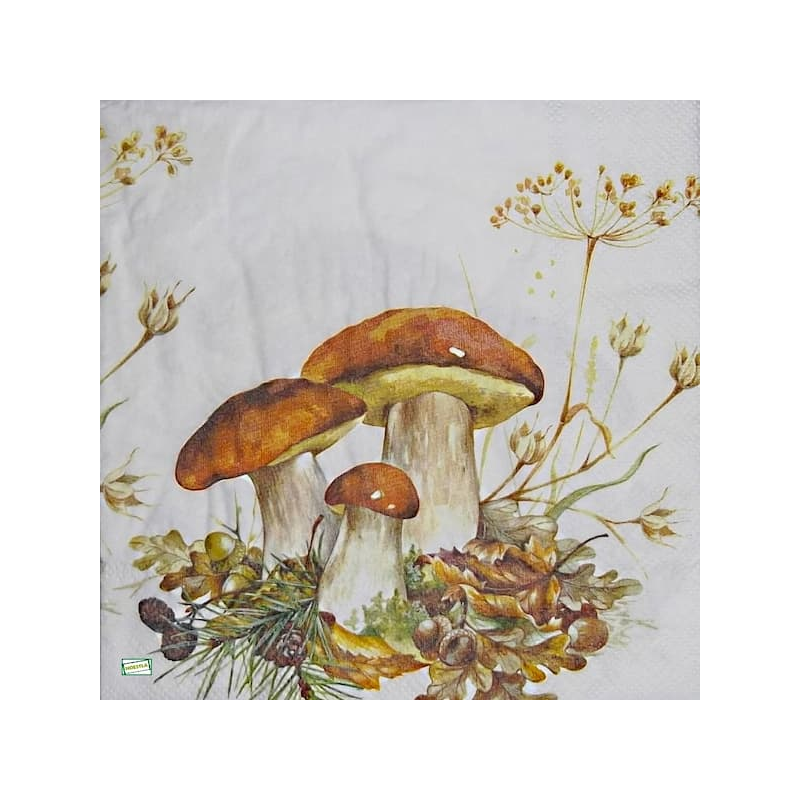 1serviette Les Champignons-39