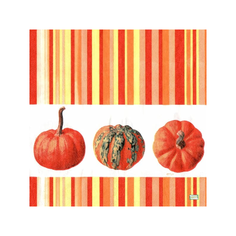 1serviette Les Légumes-41