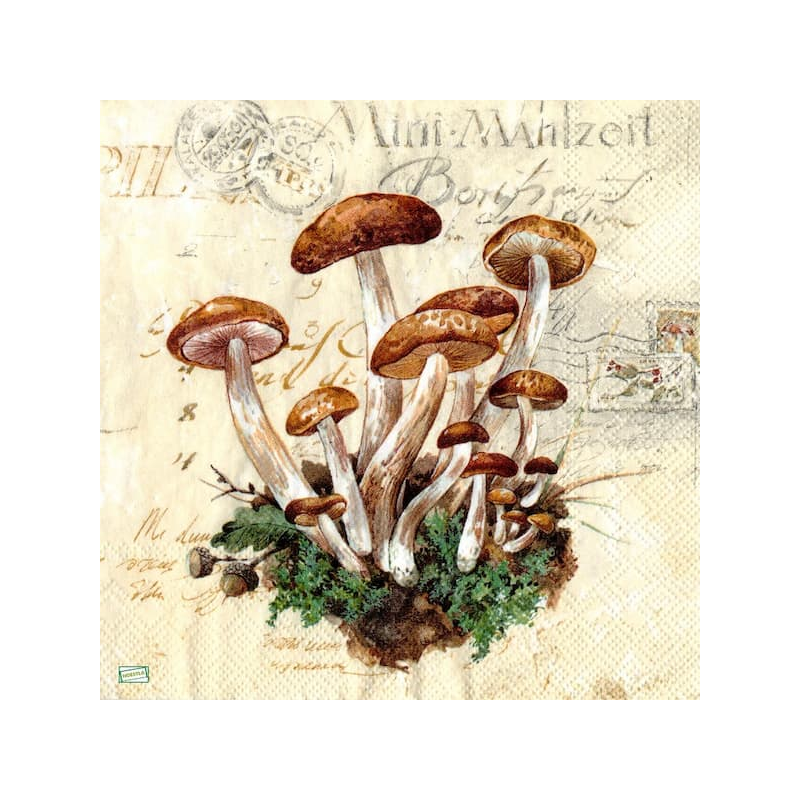 1serviette Les Champignons-43