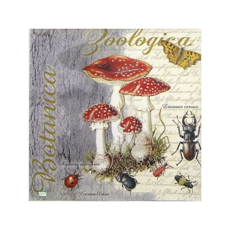 1serviette Les Champignons-54