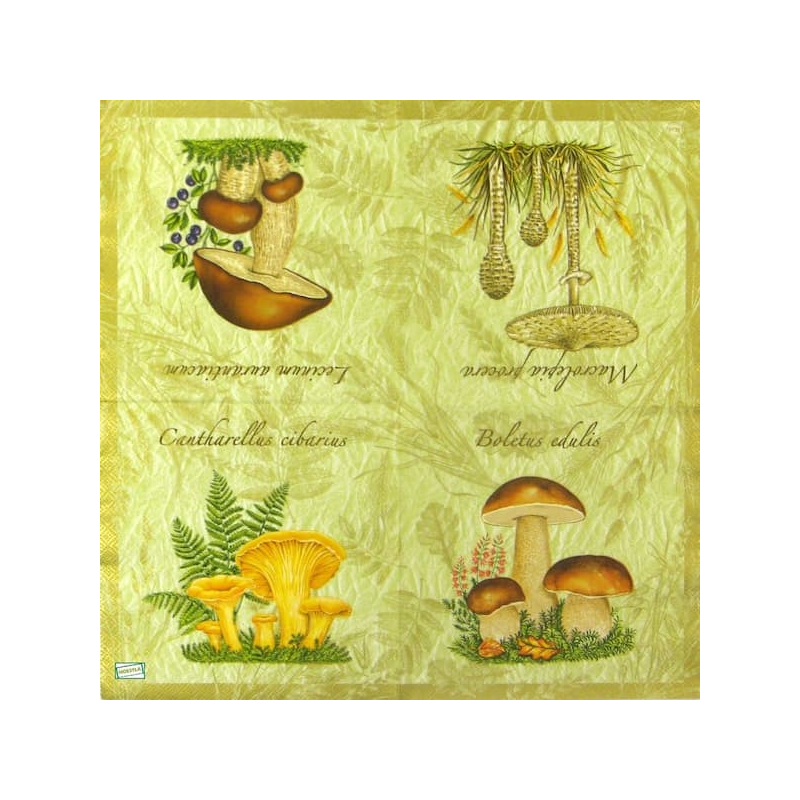 1serviette Les Champignons-56