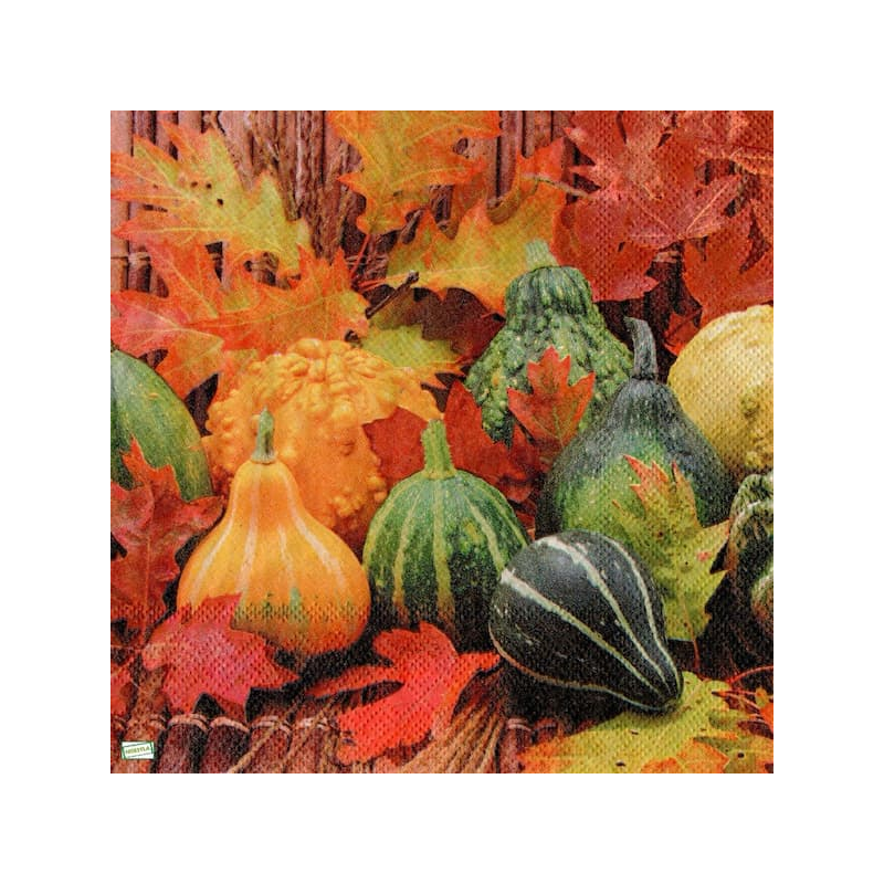 1serviette Les Potimarrons-59