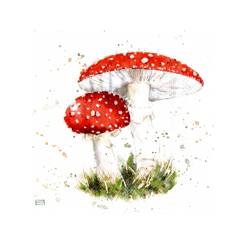 1serviette Les Champignons-62