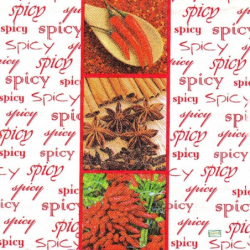 1serviette Les Epices-63