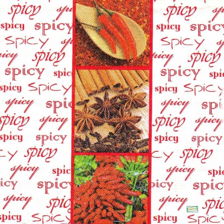 1serviette Les Epices-63