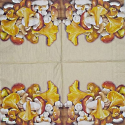 1serviette Les Champignons-65