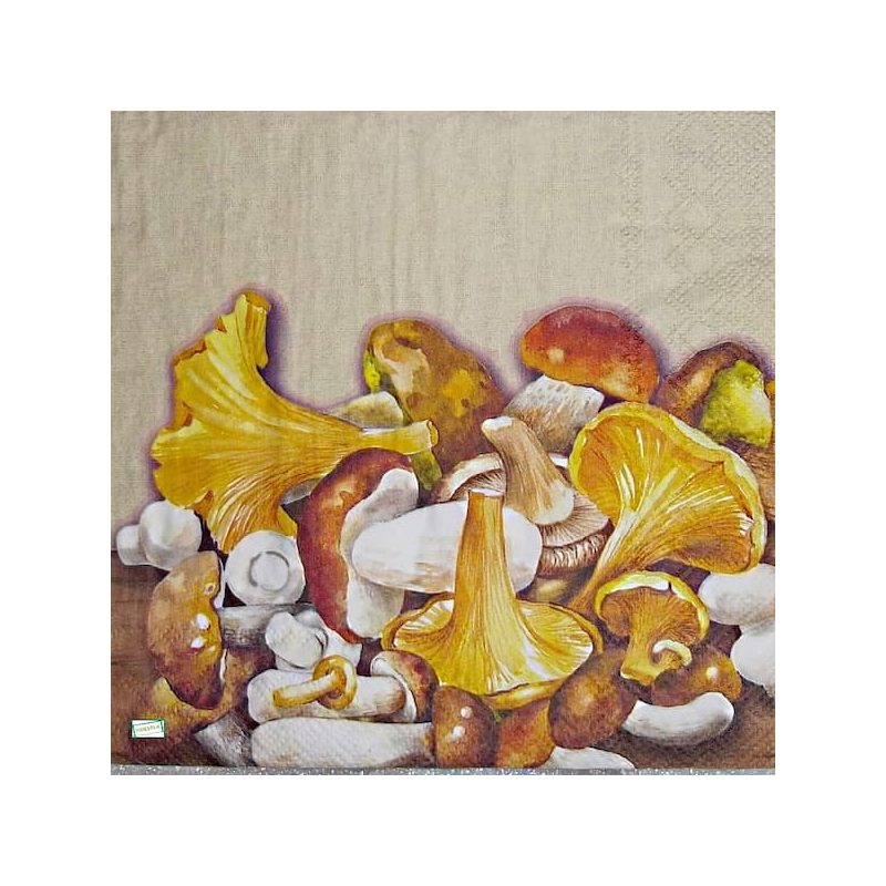 1serviette Les Champignons-65