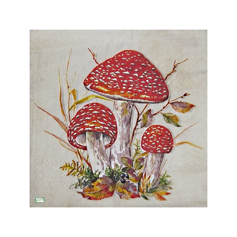 1serviette Les Champignons-68
