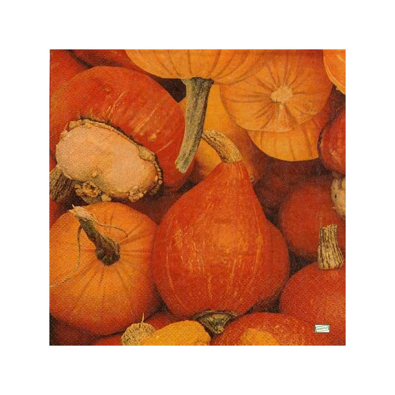 1serviette Les Potimarrons-72