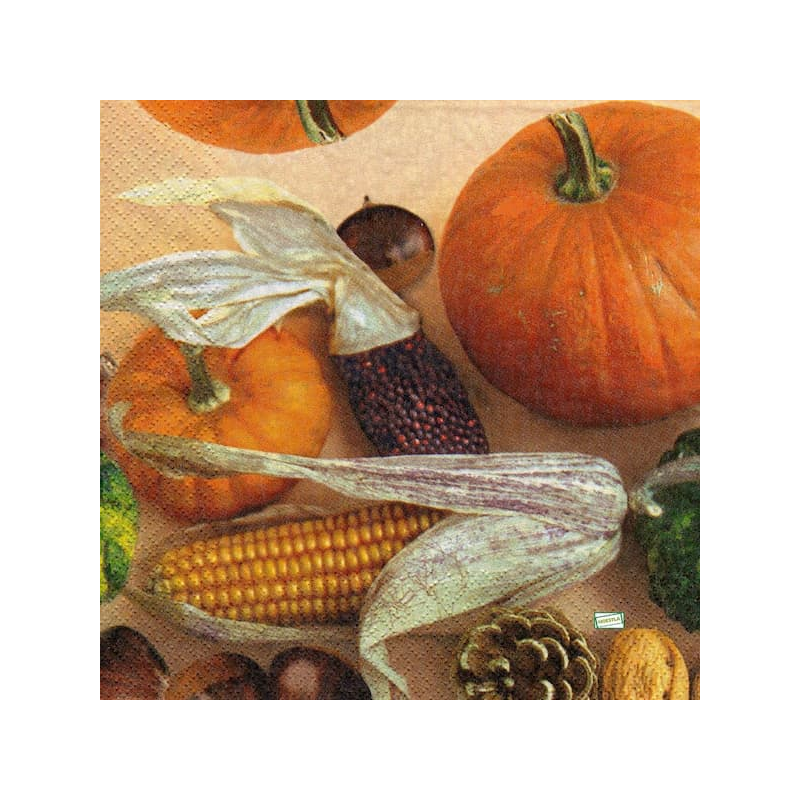 1serviette Les Potimarrons-79