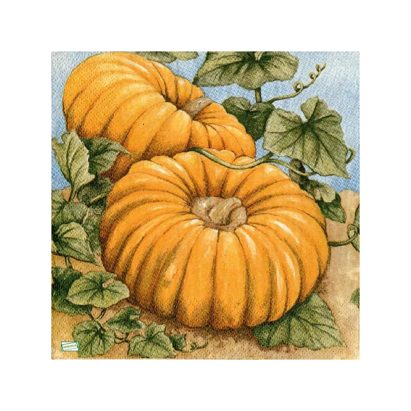 1 serviette Les Potimarrons-82