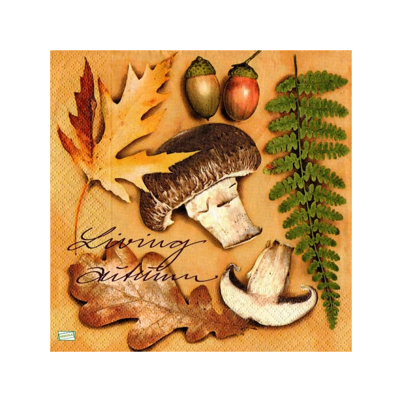 1serviette Les champignons-89