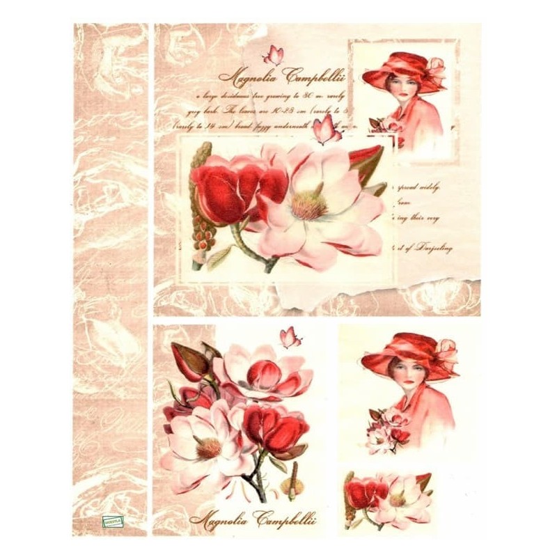 1papier riz Personnages-AIST4