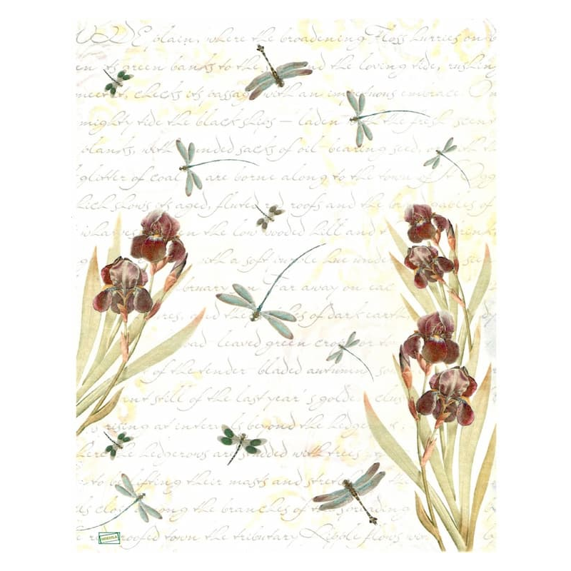 papier de riz Libellules -AIST1