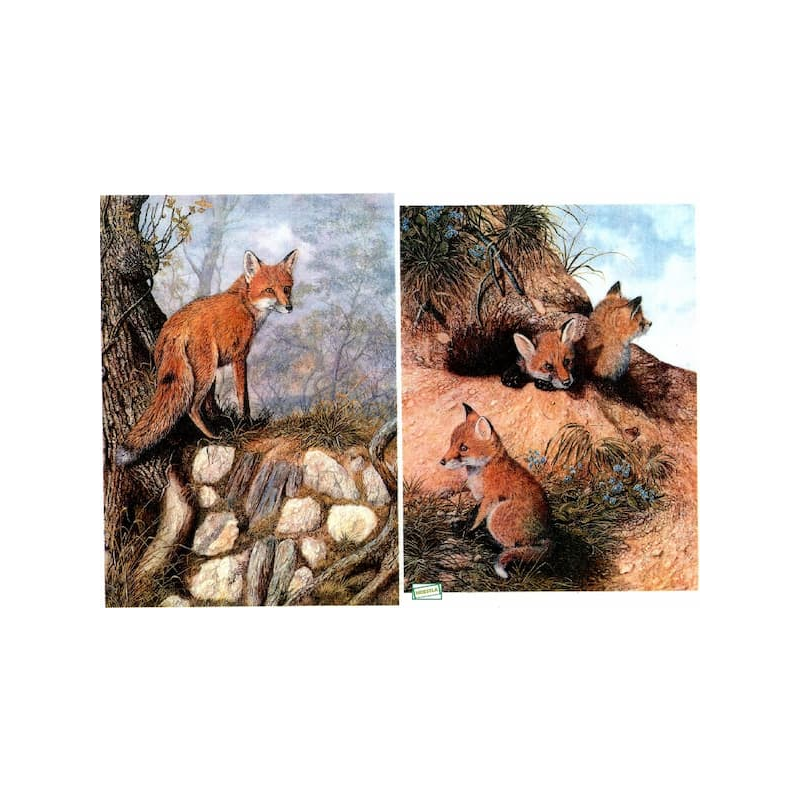 1papier riz Renards -BMET1