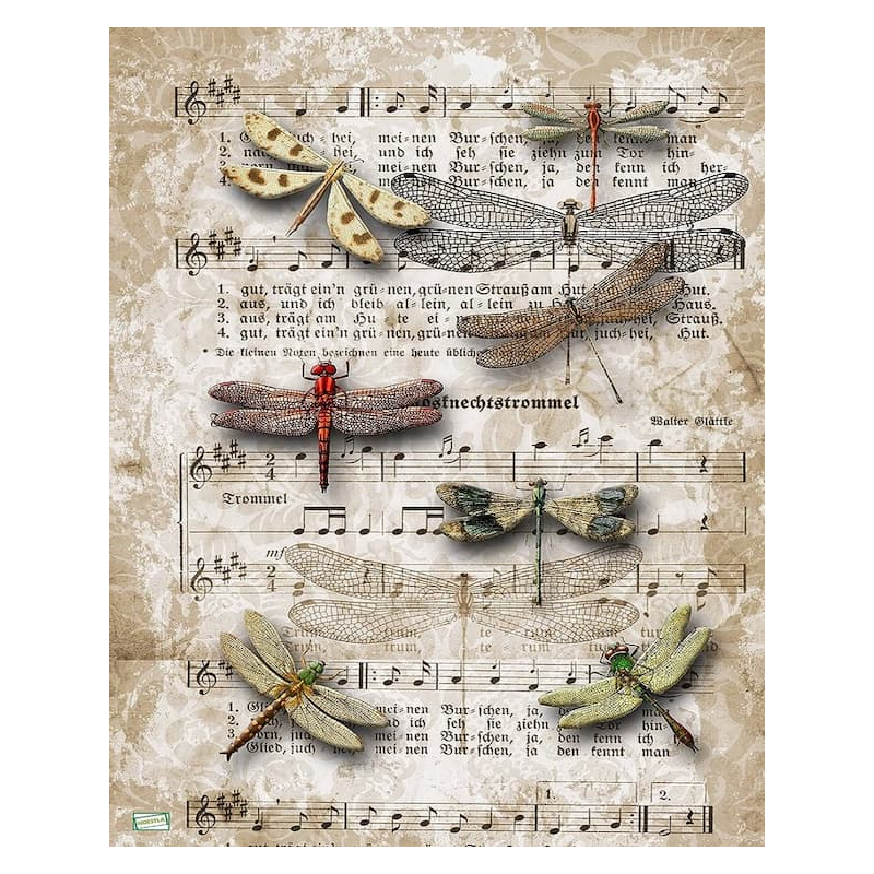 1papier de riz Libellules -DQ32