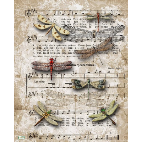 1papier de riz Libellules -DQ32