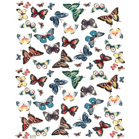 1papier riz Les papillons-R130
