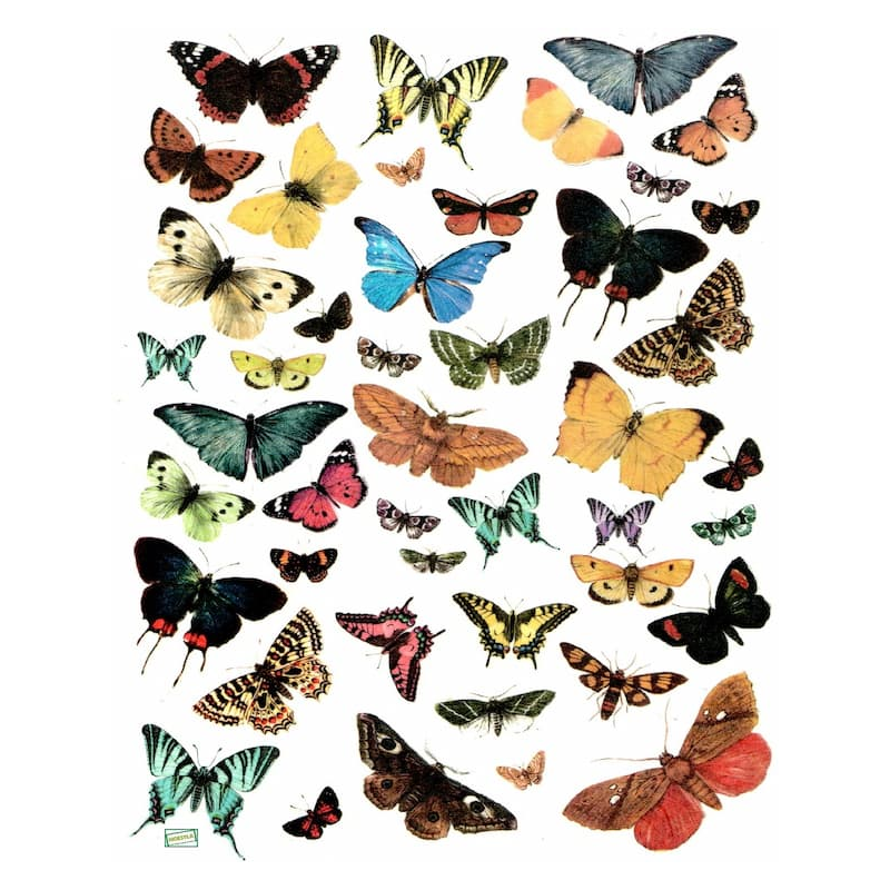 1papier riz Les papillons-R230