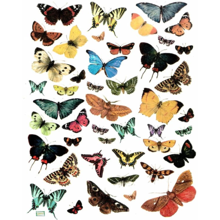 1papier riz Les papillons-R230