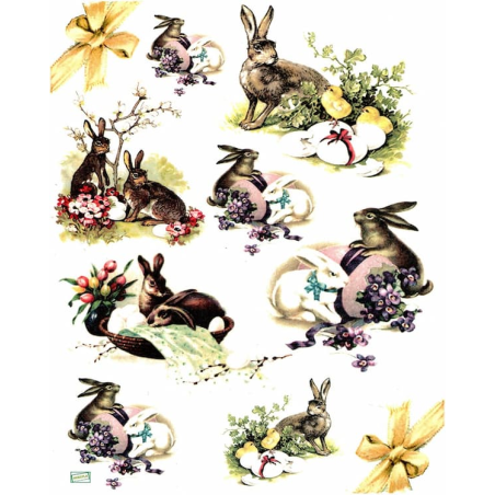 1papier de riz Animaux-R286