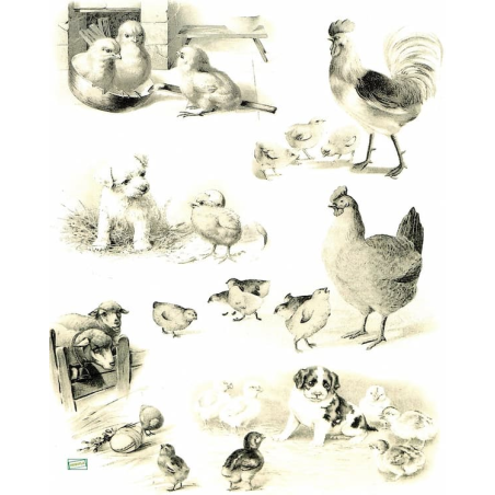 1papier de riz Animaux -R669