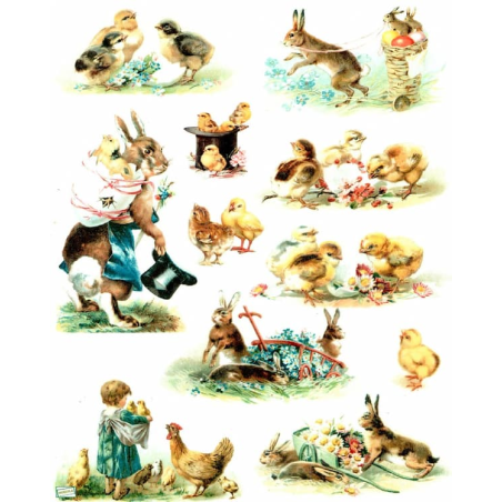 1papier de riz Animaux -R843