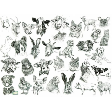 1papier de riz Animaux-R1552