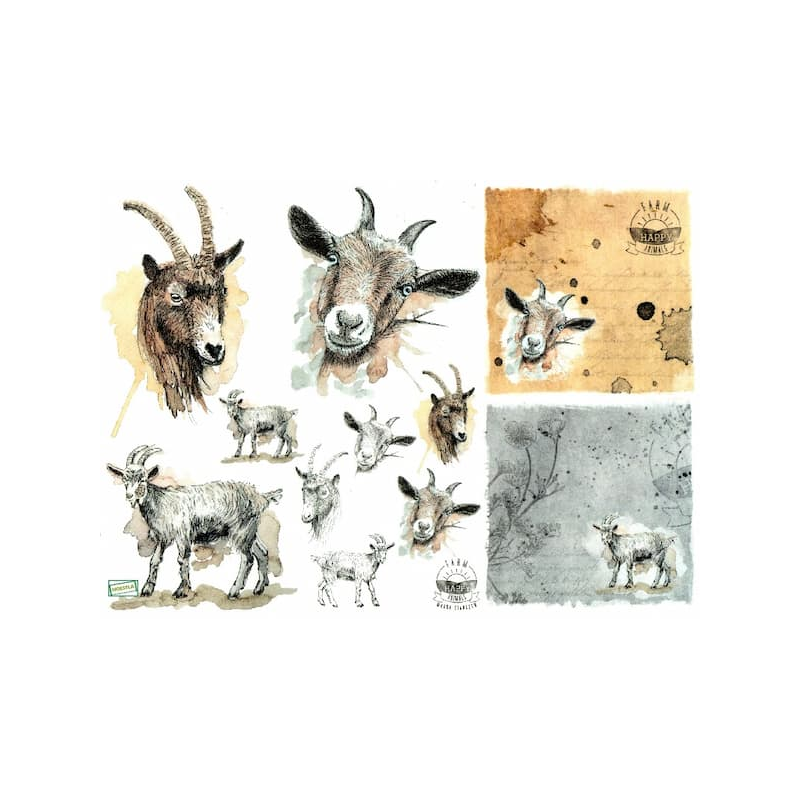 1papier riz Les chévres-R1559