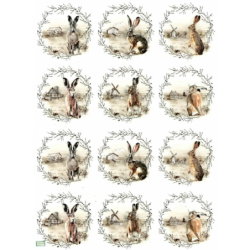 1papier riz Les lapins-R2014